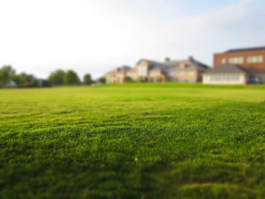 Sztuczna trawa ogrodowa - dlaczego warto?