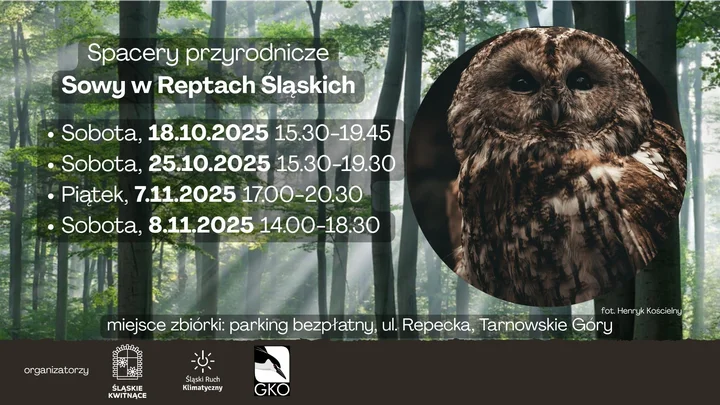 Grafika promocyjna wydarzenia Spacer przyrodniczy i nocne obserwacje sów w Reptach Śląskich