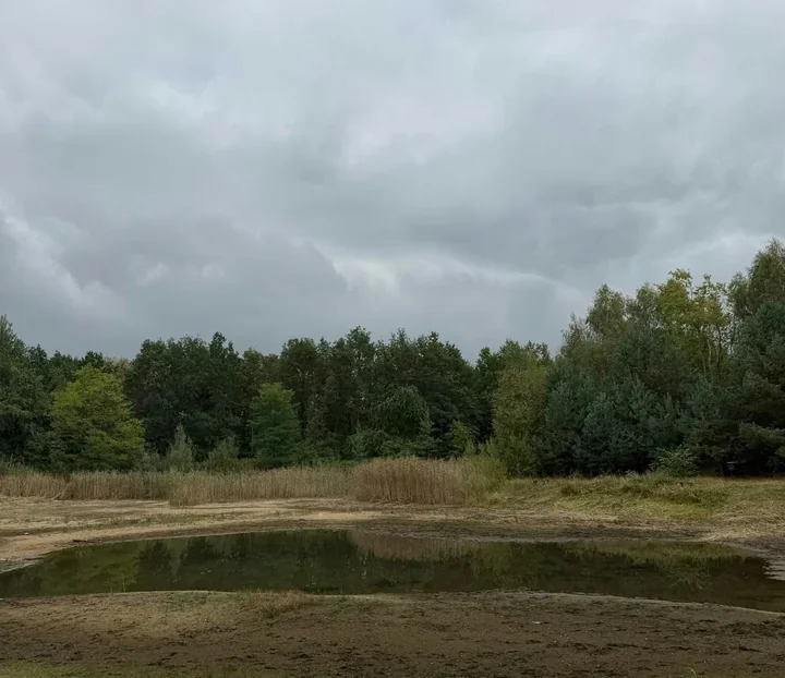 Zandka wróci do rekreacyjnej funkcji. Rozpoczęły się prace