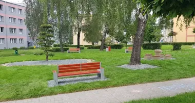 Sześć brzóz usunięto ze Skwerku Seniora. Zagrażały ludziom