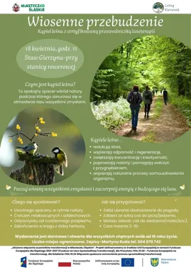 Leśny spacer przy Gierzynie ma zatrzymać codzienny pęd i dać oddech