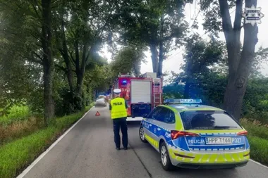 Sekundy po wyprzedzaniu w Świętoszowicach zginęło dwóch młodych mężczyzn